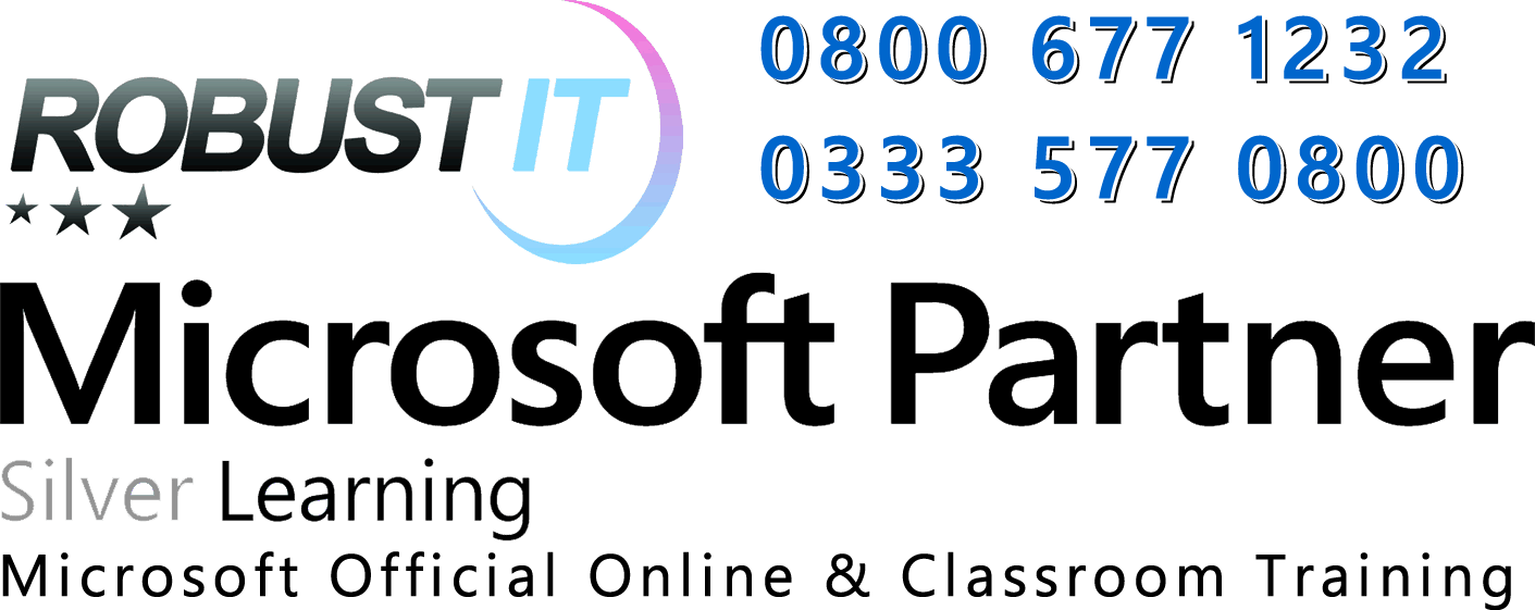 Robust IT logo